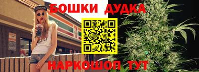mdpv Дубна